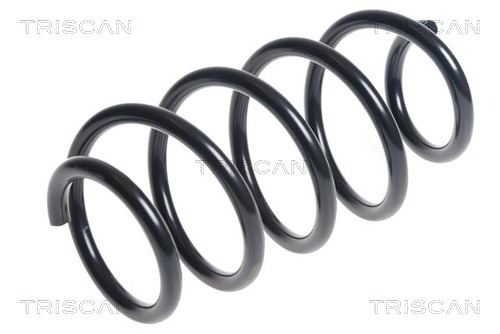 Пружина ходовой части передн Лев/Прав *TRISCAN* AUDI, VW |--->875029360 / KYB->RA1143  / MON->///
