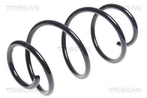 Пружина ходовой части передн Лев/Прав *TRISCAN* KIA CEE'D |--->87504399 / MON->SP5178