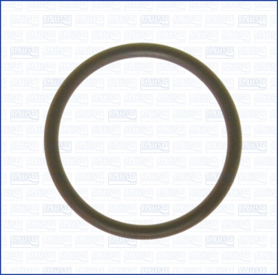 WHT001244