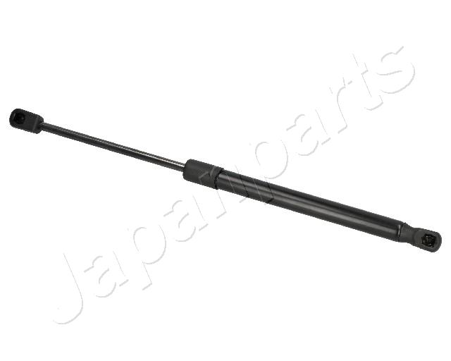 ZSW0006