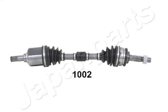 GI-1002