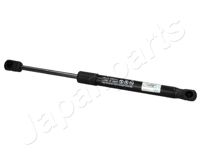 ZS06071
