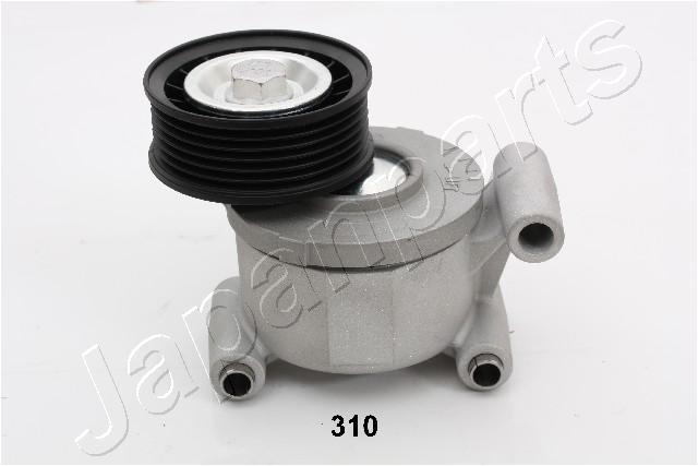 TS-310