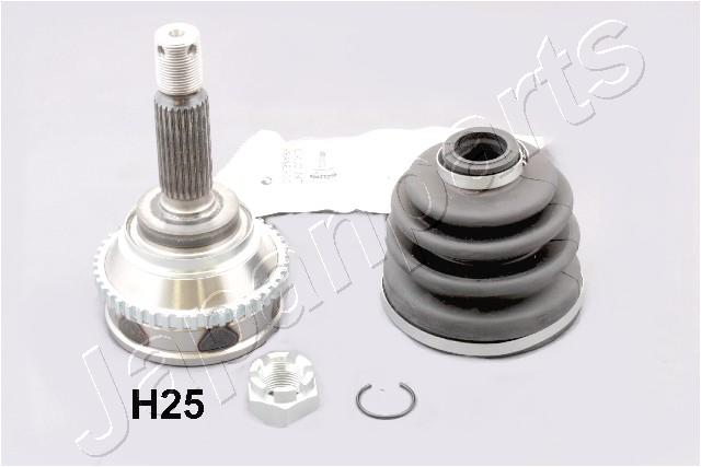 GI-H25