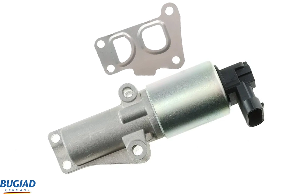 BGR13058