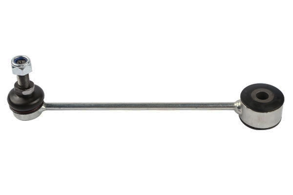 BAP55098