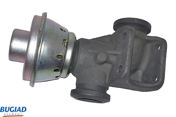 BGR13079