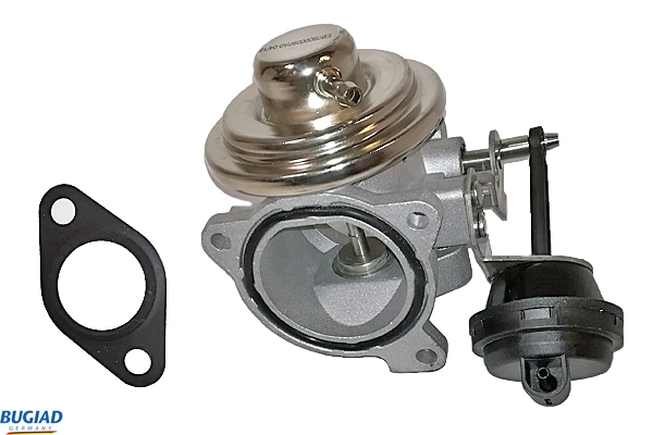 BGR13006