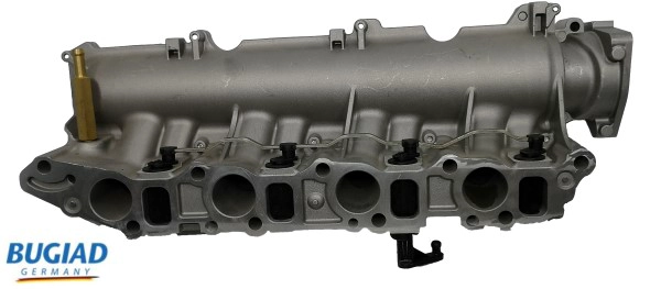 BIM17007