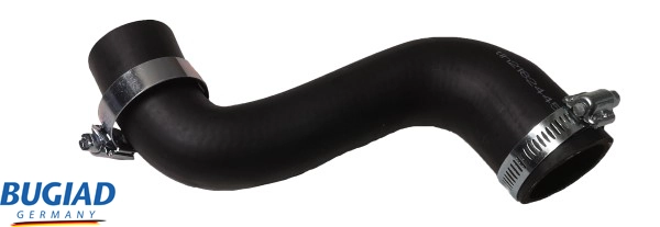 82445