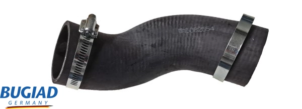 82554