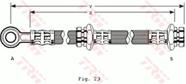PHD146