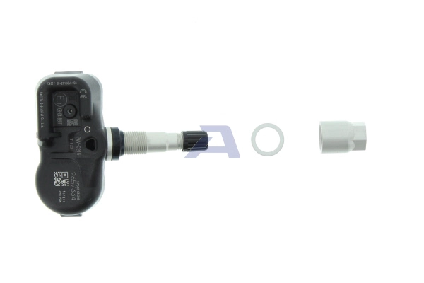 TPMS-T12