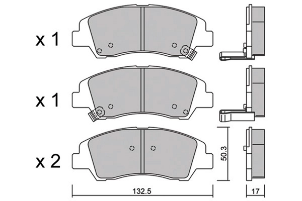 BPHY-1013