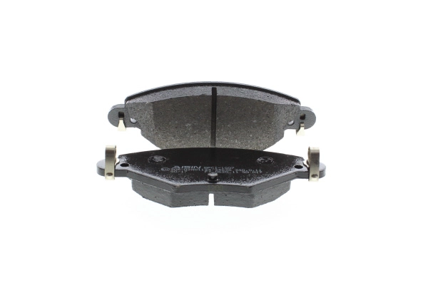 BPCI-1007