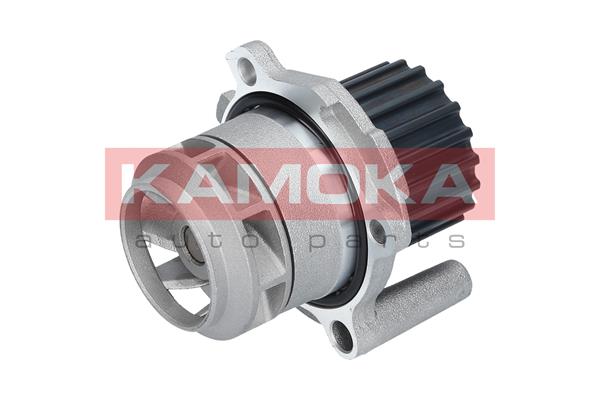 T0251