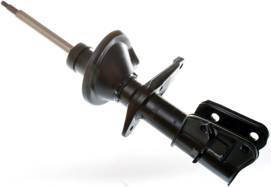 DSB173G