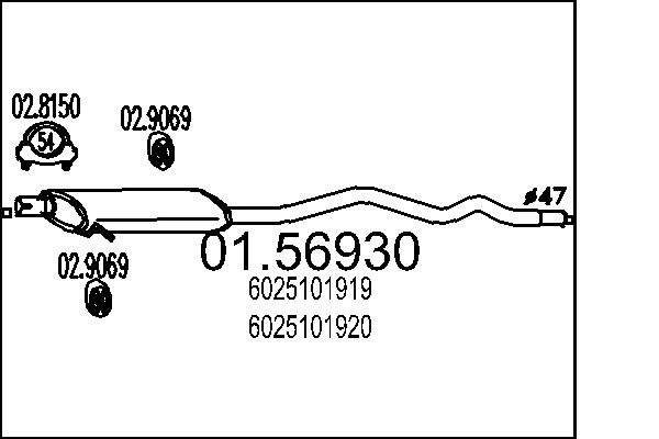 6025101919