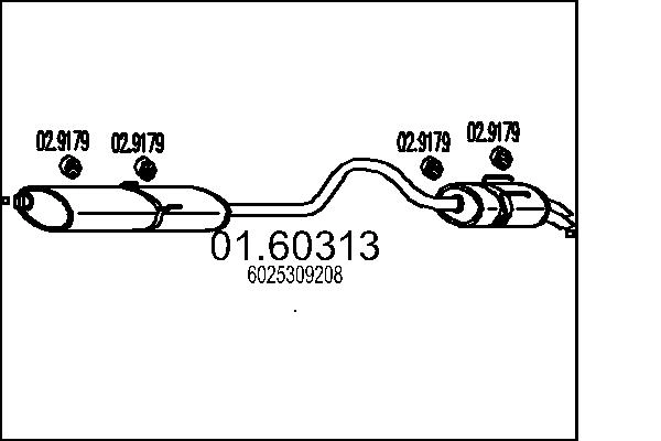 6025309208