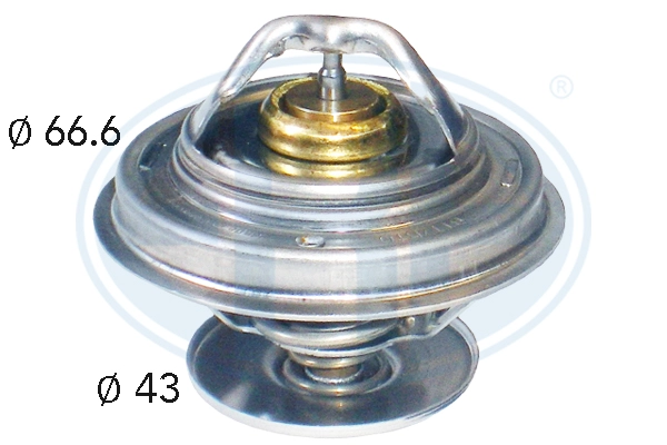 0032033575