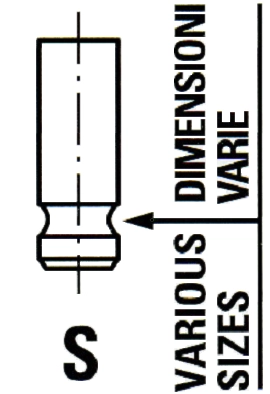 VL163800