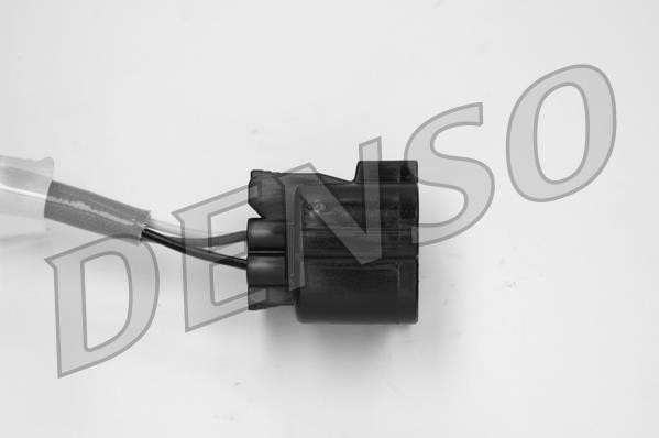 DLS-186