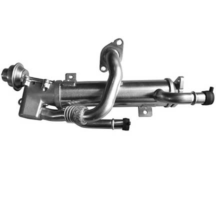 VG7219