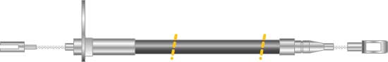 CF5596