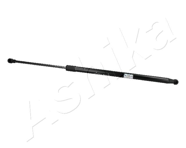 ZSA10019