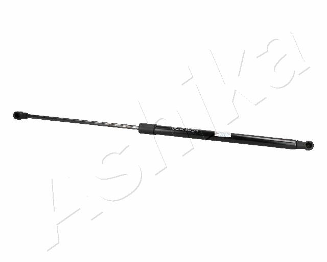 ZSA06090