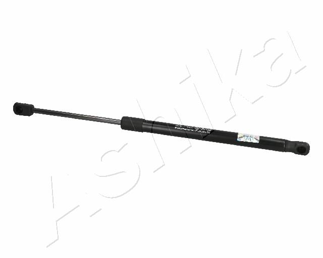 ZSA06101