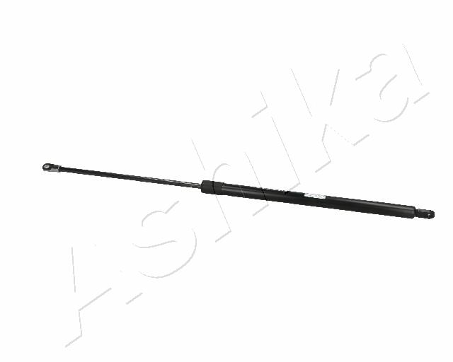 ZSA06041