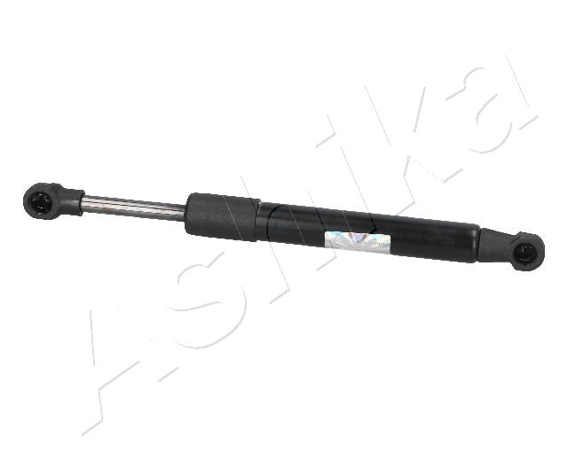 ZSA09098