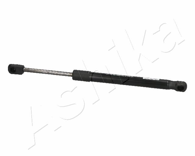 ZSA06069
