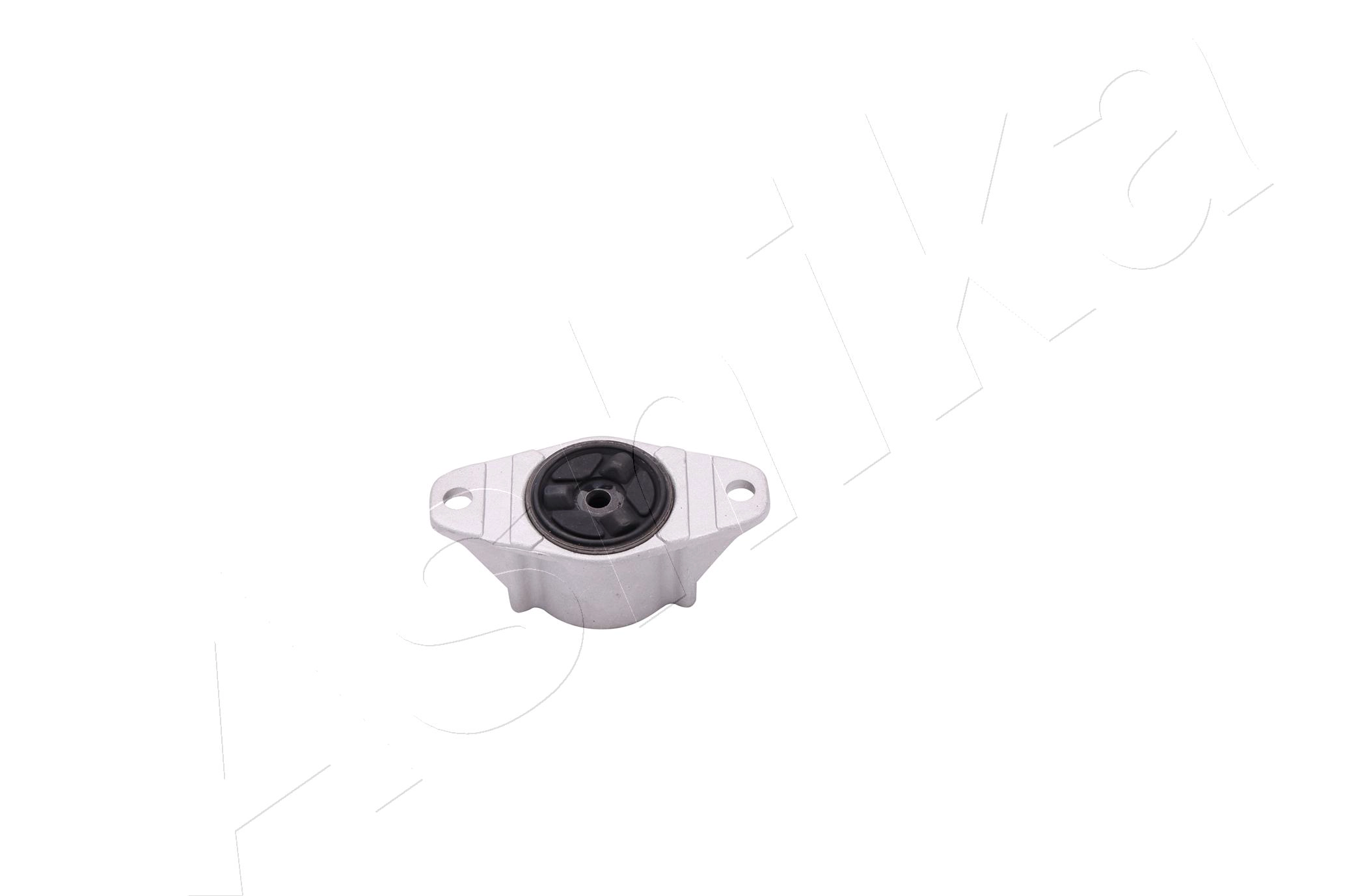 SMA0021