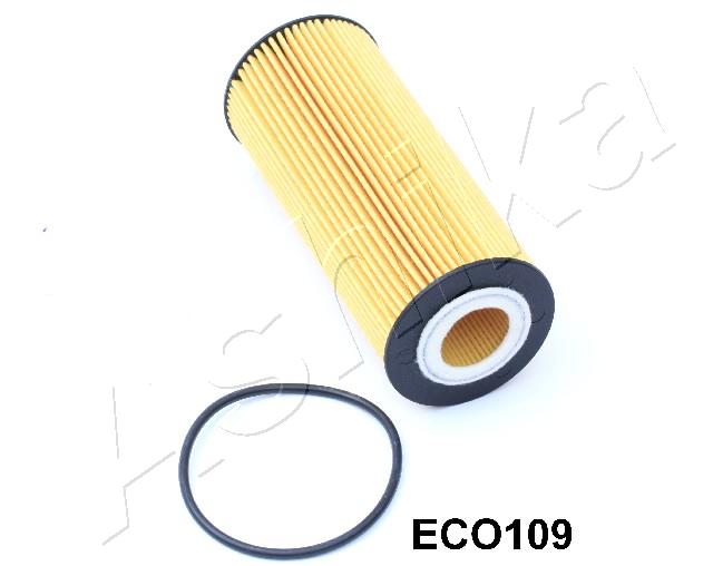 10-ECO109