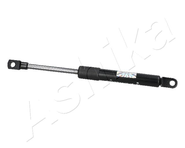 ZSA09100