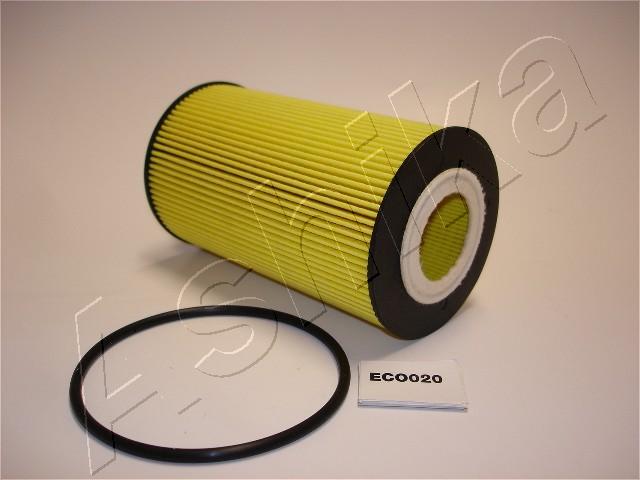 10-ECO020