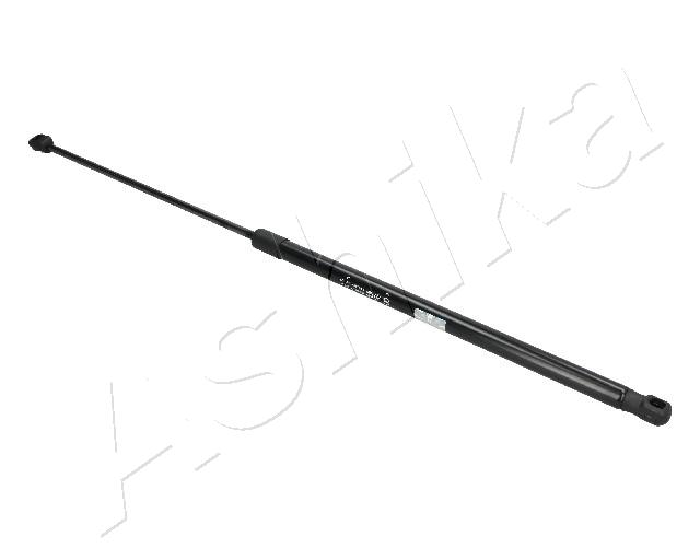 ZSA09031