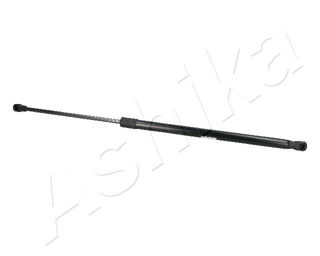 ZSA04019