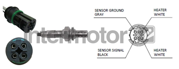 64616