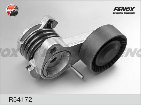 R54172