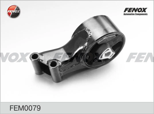 FEM0079