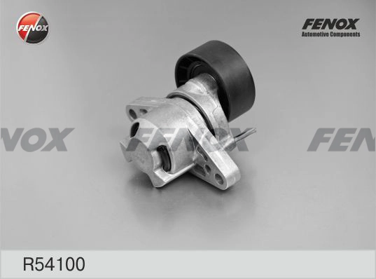 R54100