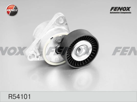 R54101