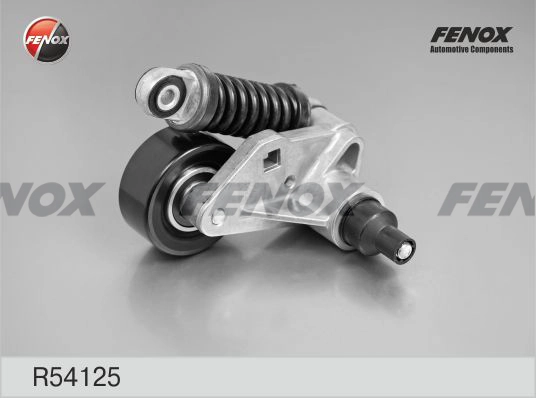 R54125