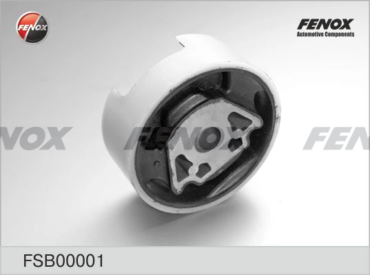 FSB00001