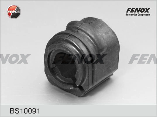 BS10091