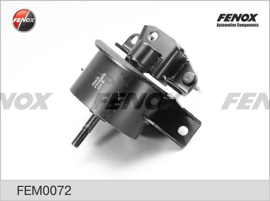FEM0072