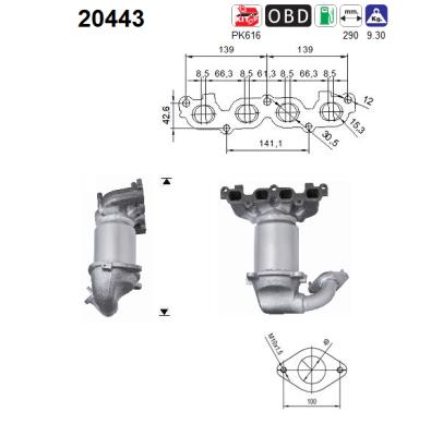 20443